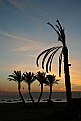 Picture Title - The Palms & Sunset