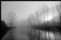 Picture Title - Foggy slough