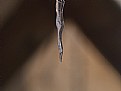 Picture Title - Peaceful Freeze