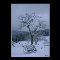 Picture Title - Winter impression