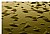 River Dune