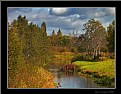 Picture Title - Autumn. Near river