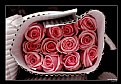 Picture Title - A Dozen Roses