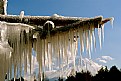 Picture Title - Icicle