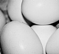 Picture Title - Eggs