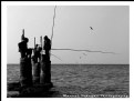 Picture Title - Fishing