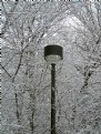 Picture Title - Lamp Post