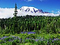 Picture Title - Mt. Ranier