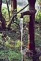 Picture Title - Water Pump