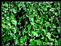 Picture Title - somewhere inside 