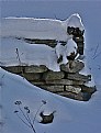 Picture Title - old root cellar