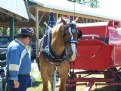 Picture Title - At the Fair