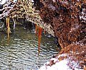Picture Title - amber icicle 2