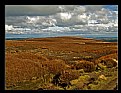 Picture Title - Walking the Shire