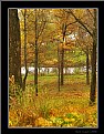 Picture Title - Golden Autumn view