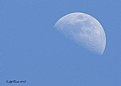 Picture Title - Afternoon Moon