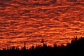 Picture Title - Fire Sky
