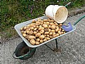 Picture Title - Rural Asturias 13