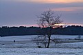 Picture Title - Dutch Desert - III