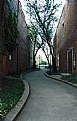 Picture Title - Winding Alley