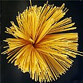 Picture Title - Spaghetti flower