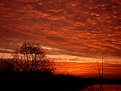 Picture Title - Sunrise At Lake "Hofstade"