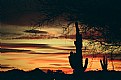 Picture Title - Desert Sunset