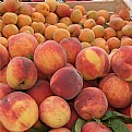 Picture Title - Peaches