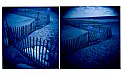 Picture Title - beach fences