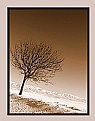 Picture Title - Alone