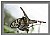 Pitter Fly ..2