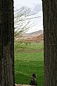 Picture Title - natural windows