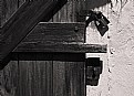 Picture Title - Door (detail)