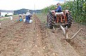 Picture Title - Rural Asturias 19