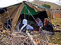 Picture Title - life tent