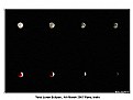 Picture Title - The Lunar Eclipse 