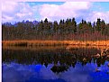 Picture Title - Lake in the forest...