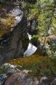 Picture Title - Athabasca Falls