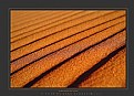 Picture Title - Elevator of sand in the desert 