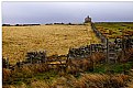 Picture Title - Old barn , Allenheads.