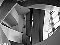 Picture Title - Inside Disney Concert Hall