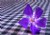 Flor