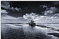 Picture Title - Crossing the Sea  -  Denmark Impression  VI