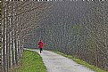 Picture Title - runner in red #3