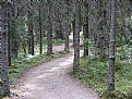 Picture Title - Long And Winding Trail