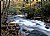 Smoky Mountain stream 