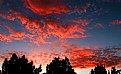 Picture Title - Backyard Sunset