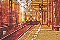 Picture Title - last train