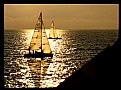 Picture Title - Sail boats