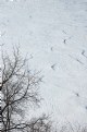 Picture Title - Snow Patterns